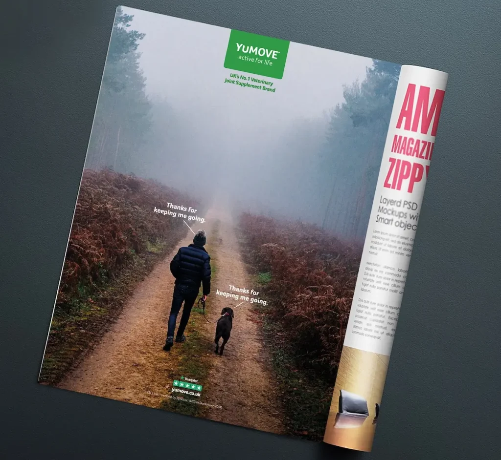 YuMOVE-Magazine